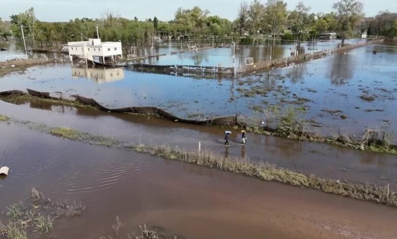 Fortes enchentes ameaçam plantações na Argentina Fortes enchentes ameaçam plantações na Argentina
