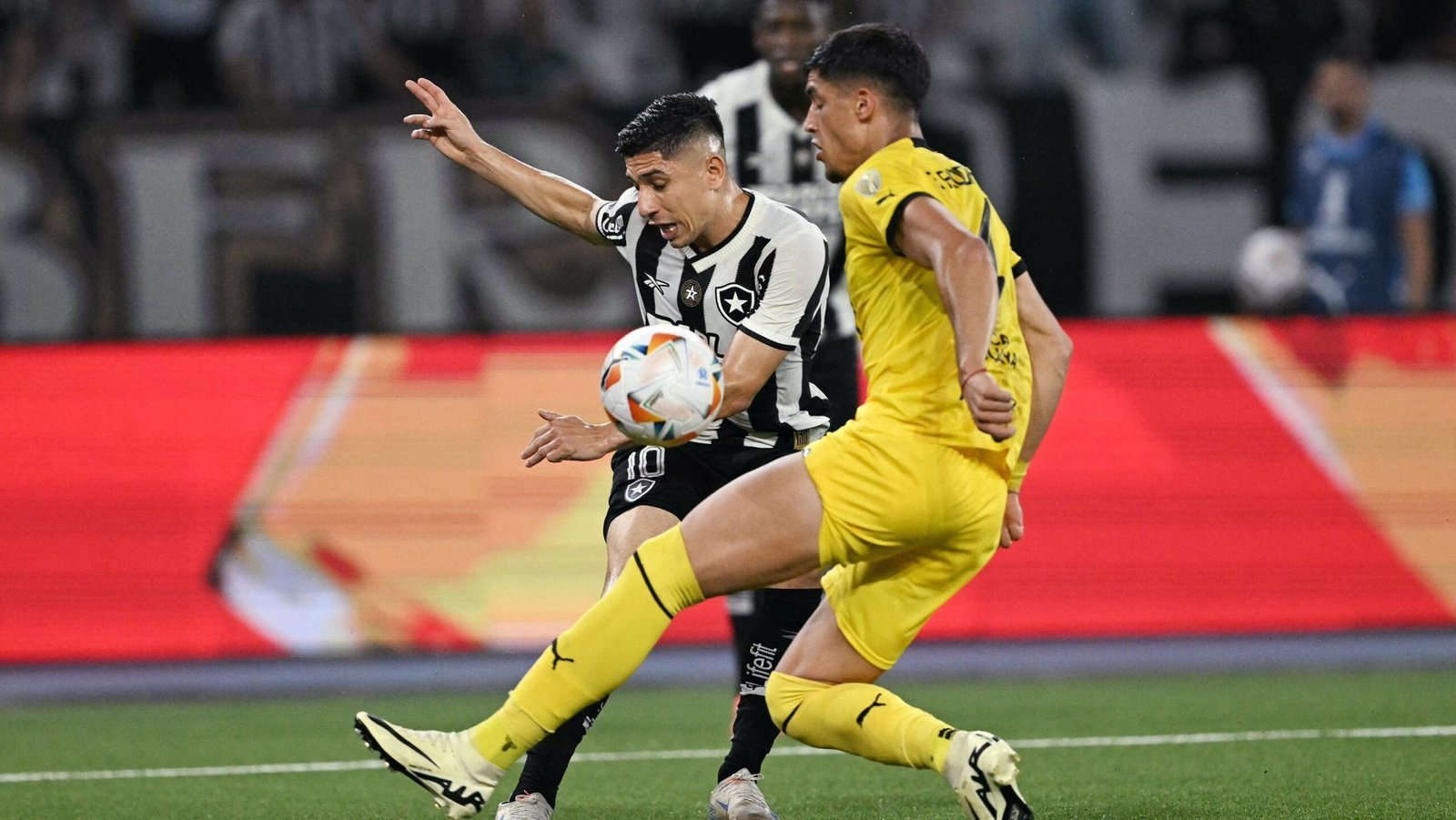 Savarino vira protagonista do Botafogo na busca pelo título da Libertadores