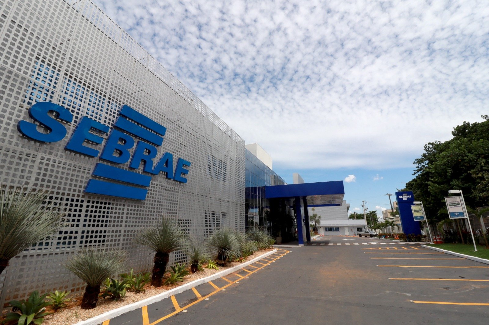 Sebrae Goiás lança boletim com tendências para impulsionar bares e restaurantes