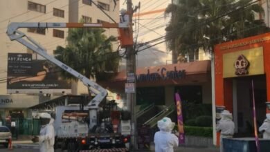 Abelhas atacam pessoas duas vítimas foram hospitalizadas