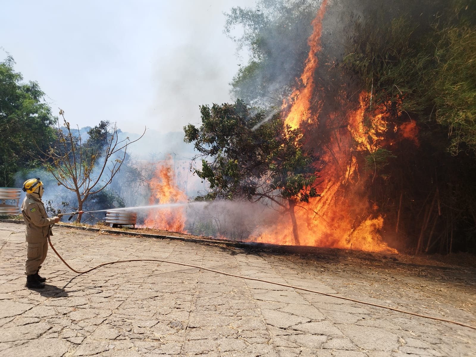 Presidência da República e Congresso Nacional se unem para coibir incêndios