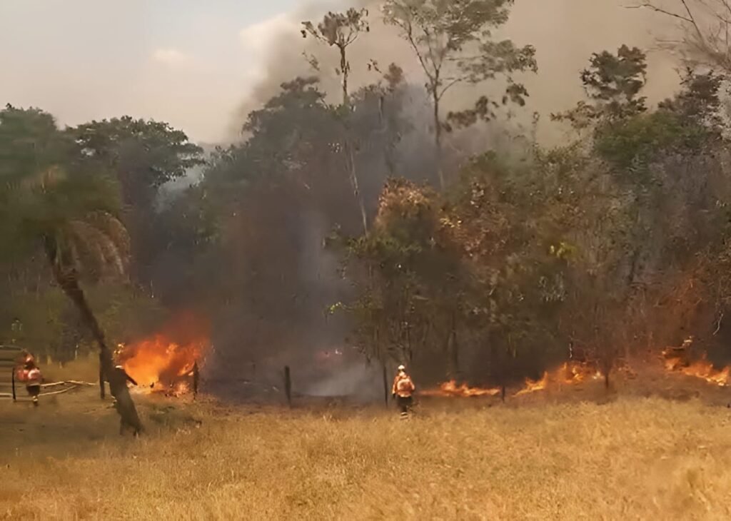 Incêndio já consumiu mais de 4 mil hectares da Serra Dourada