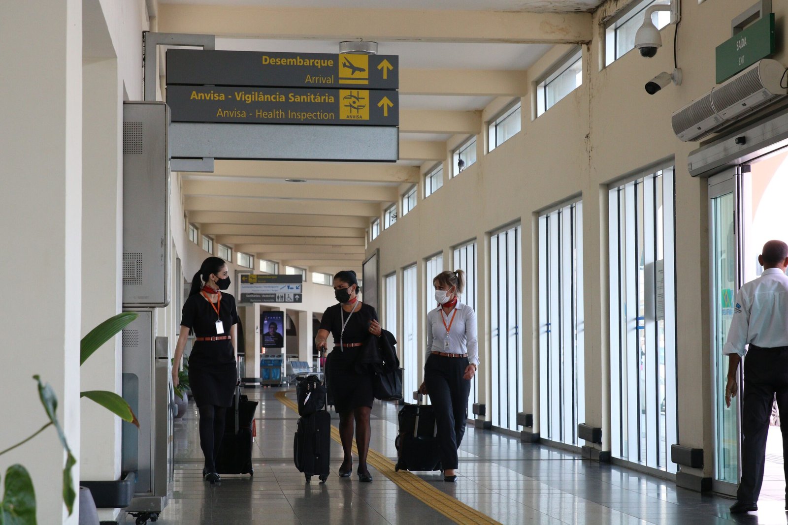 Após recorde de passageiros em setembro, 2024 pode ser melhor ano para aéreas no Brasil, aponta Anac