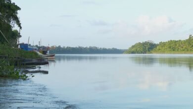Ibama acata pedido da Petrobras e avança em liberação da Margem Equatorial