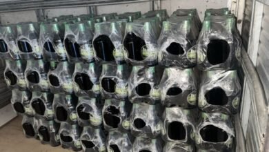 MAPA apreende quase 500 litros de vodka falsificada em Pernambuco