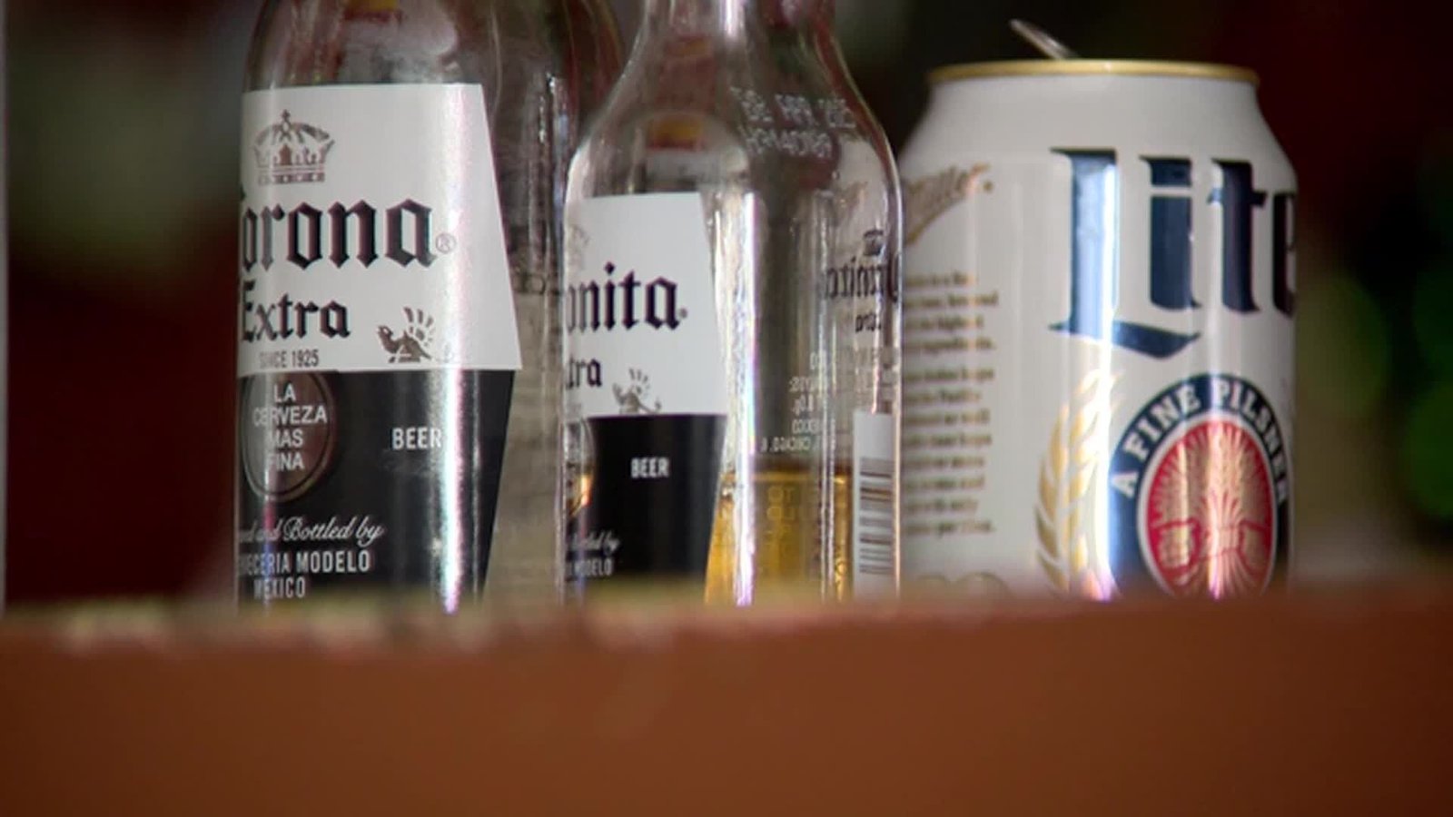 Bar nos EUA é fechado após descoberta de galinhas e cocaína no local Bar nos EUA é fechado após descoberta de galinhas e cocaína no local