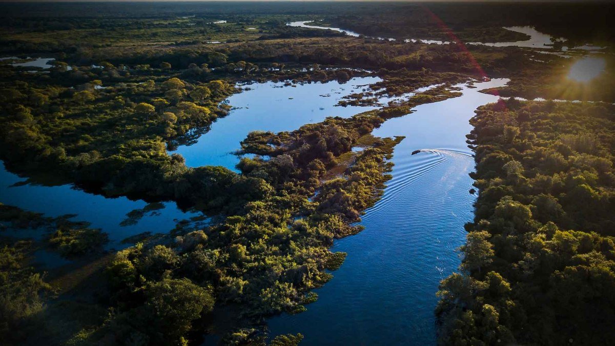 Crise climática, social e da biodiversidade estão interligadas