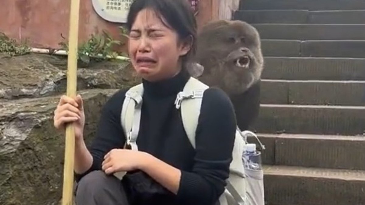 Mulher cai no choro ao ser “revistada” por grande macaco em ponto turístico na China