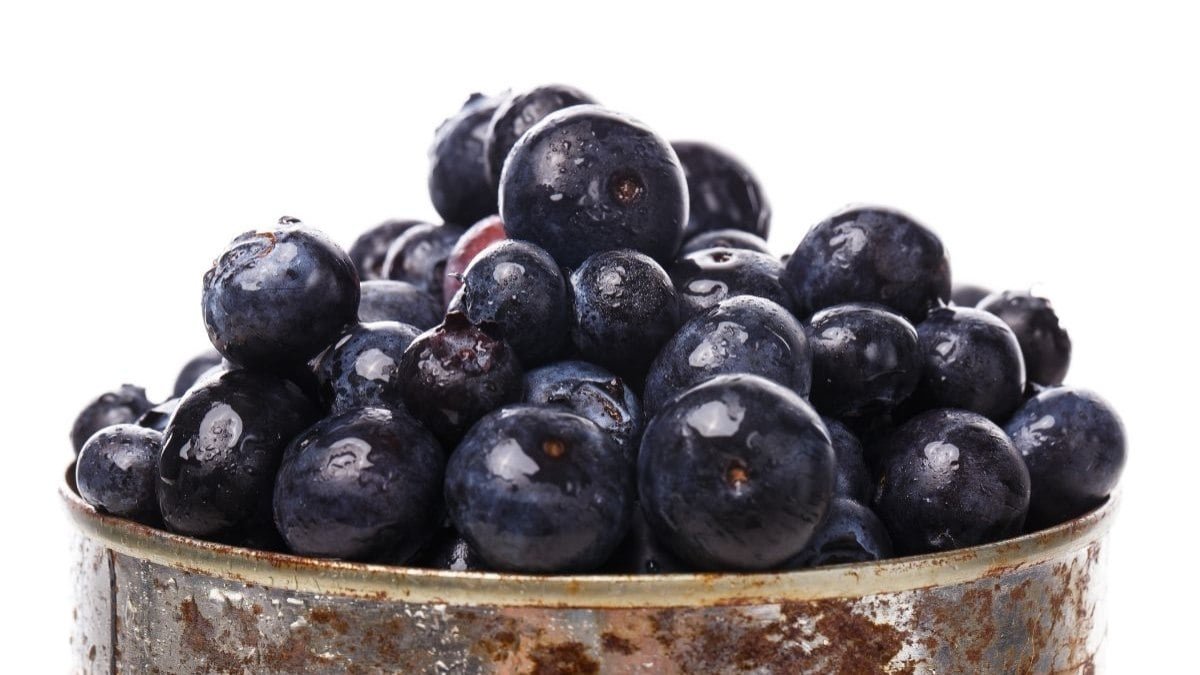 reduz colesterol, é antioxidante e previne câncer reduz colesterol, é antioxidante e previne câncer