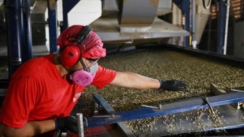 Desemprego no Brasil cai para 6,9% no 2º trimestre de 2024, menor número em 10 anos