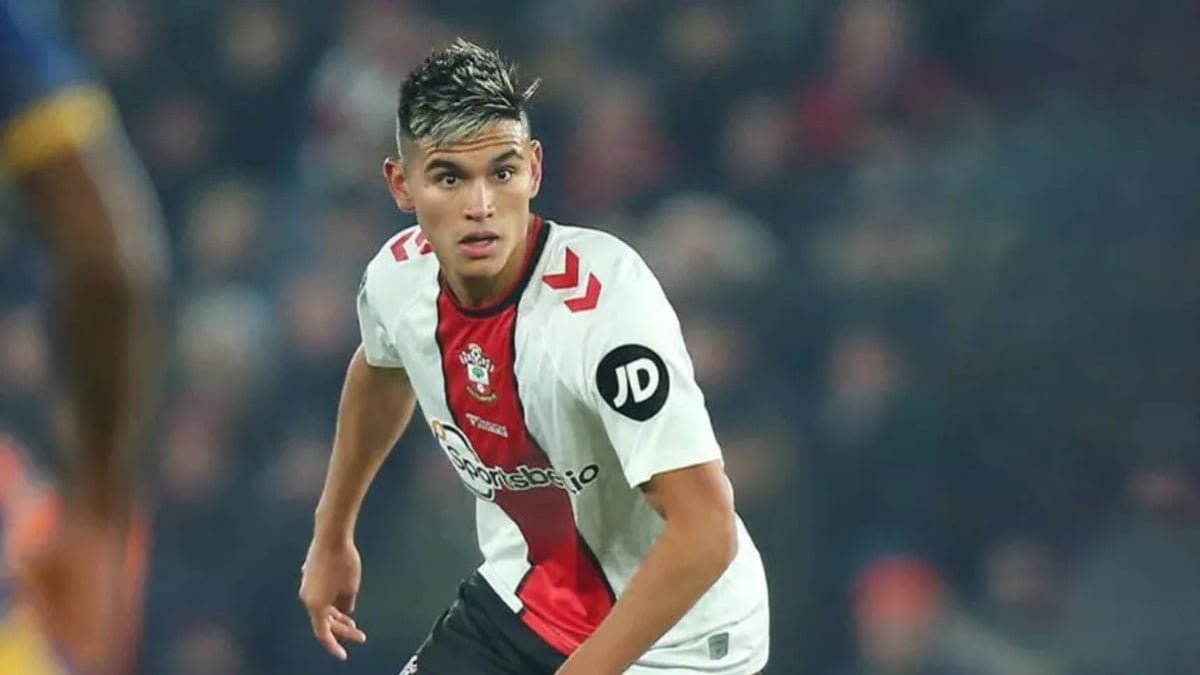 Flamengo acerta contratação de Carlos Alcaraz; veja detalhes