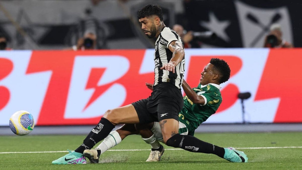 Neto faz duras críticas a jogadores e torcida do Botafogo