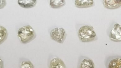 Ministério vai leiloar diamantes, bolsas de luxo e veículos