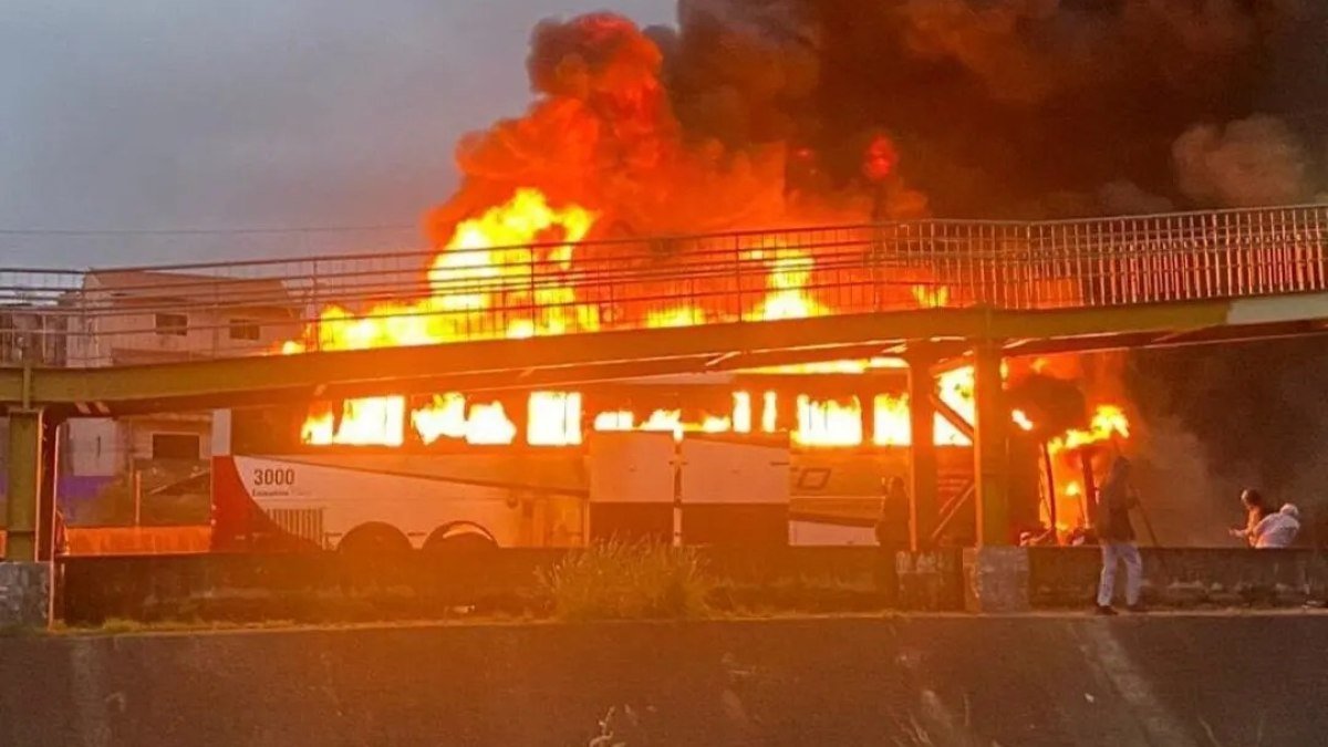 Palmeiras se pronuncia após ataque da torcida organizada contra cruzeirenses