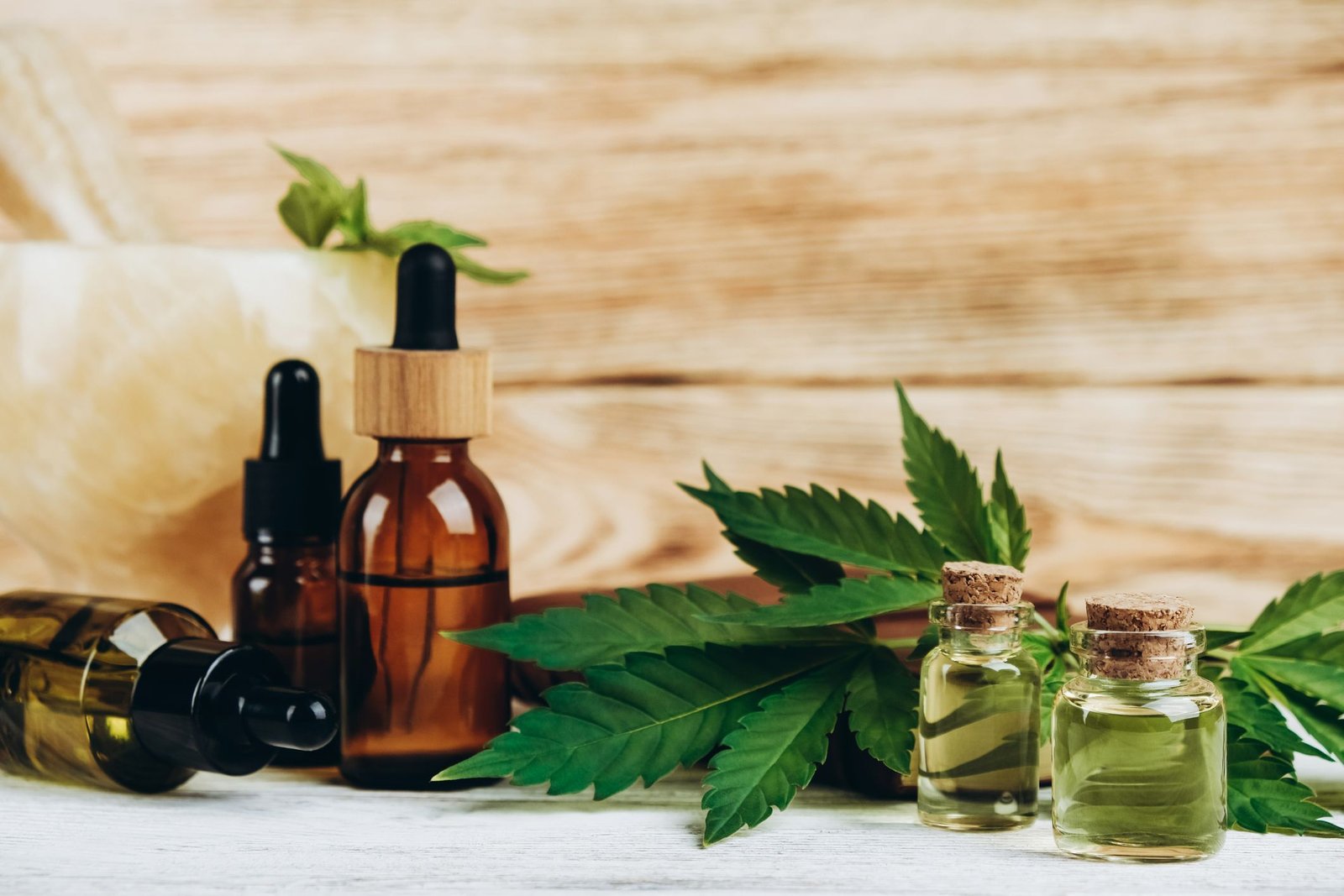 Cannabis medicinal: 1º extrato completo fabricado no Brasil chega às farmácias