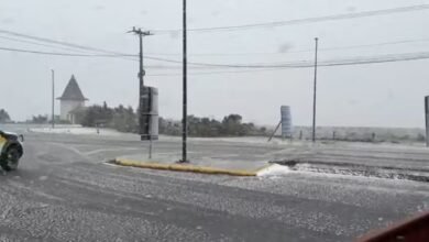 Neve cai pela primeira vez no país em 2025; veja registros no Sul