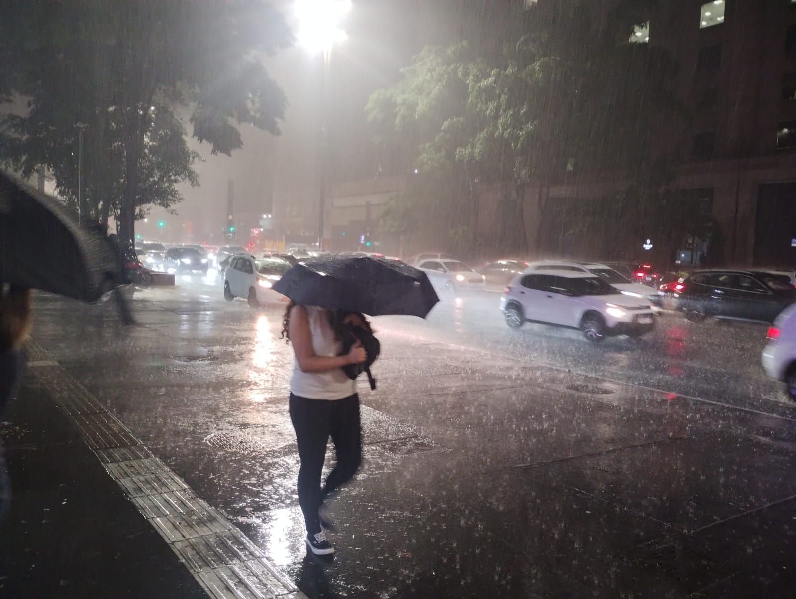 São Paulo está em alerta para chuvas perigosas em todo estado, diz Inmet