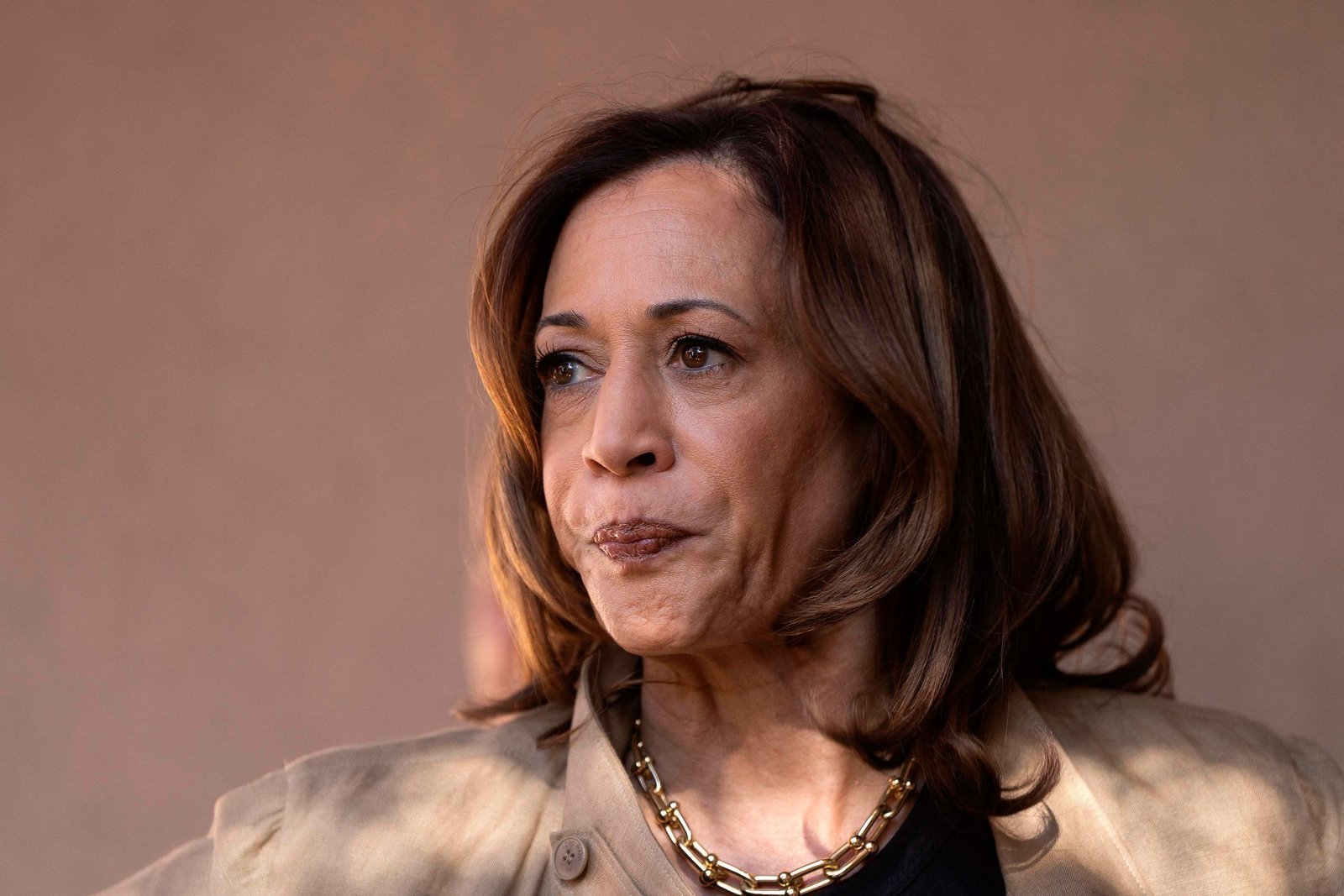 Eleições nos EUA: Kamala Harris não deve falar nesta noite, diz líder da campanha Eleições nos EUA: Kamala Harris não deve falar nesta noite, diz líder da campanha