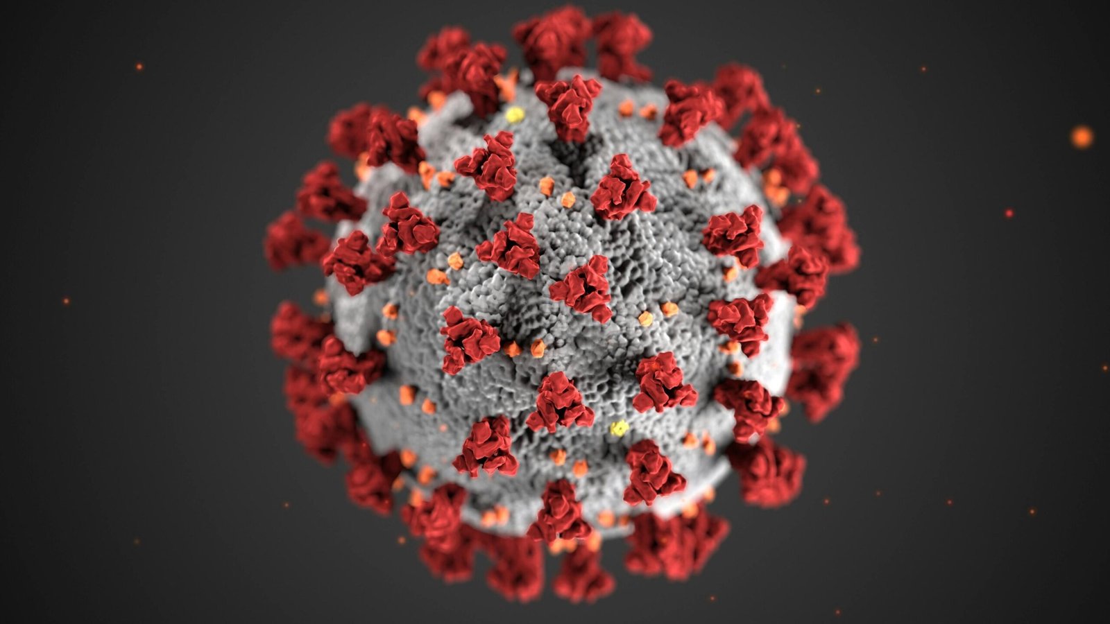 Covid-19: o que sabemos hoje sobre a pós-infecção pelo vírus?