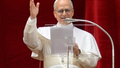 Papa Leão XIV defende família entre homem e mulher