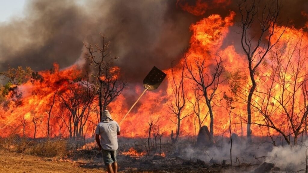 Entenda as linhas de investigação dos incêndios florestais no Brasil