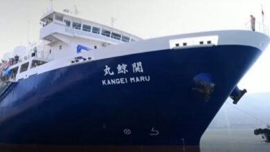 Corretor de navios? Profissão pouco conhecida tem mercado aberto