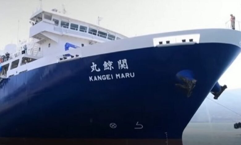 Corretor de navios? Profissão pouco conhecida tem mercado aberto