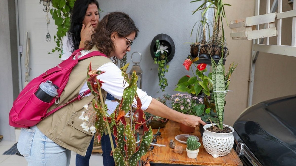 Ação preventiva contra a dengue visita e orienta moradores da Asa Sul