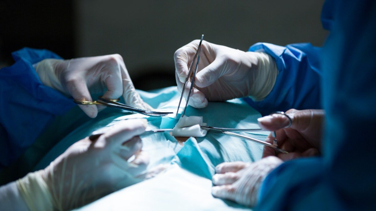 Mais de 42 mil brasileiros esperam por um transplante de rim