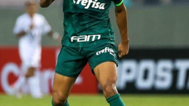 Palmeiras renova com duas Crias da Academia