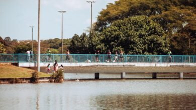 Brasília recebe nova edição do Pôr do Sol no Parque da Cidade com música, arte e diversão gratuita