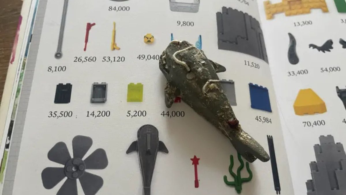 Pescador acha no mar raro tubarão de Lego que pode valer até R$ 3 mil: ‘Um tesouro’