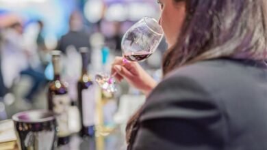 12 vinhos italianos para você conhecer