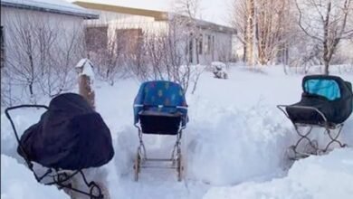 Bebês na neve: escandinavos colocam recém-nascidos abaixo de 0º C