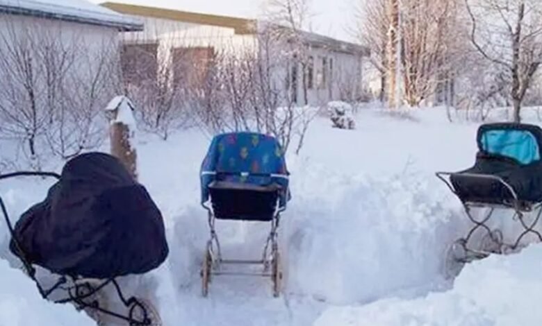 Bebês na neve: escandinavos colocam recém-nascidos abaixo de 0º C Bebês na neve: escandinavos colocam recém-nascidos abaixo de 0º C