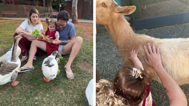 Filha de Viih Tube conhece animais em visita à fazenda; veja