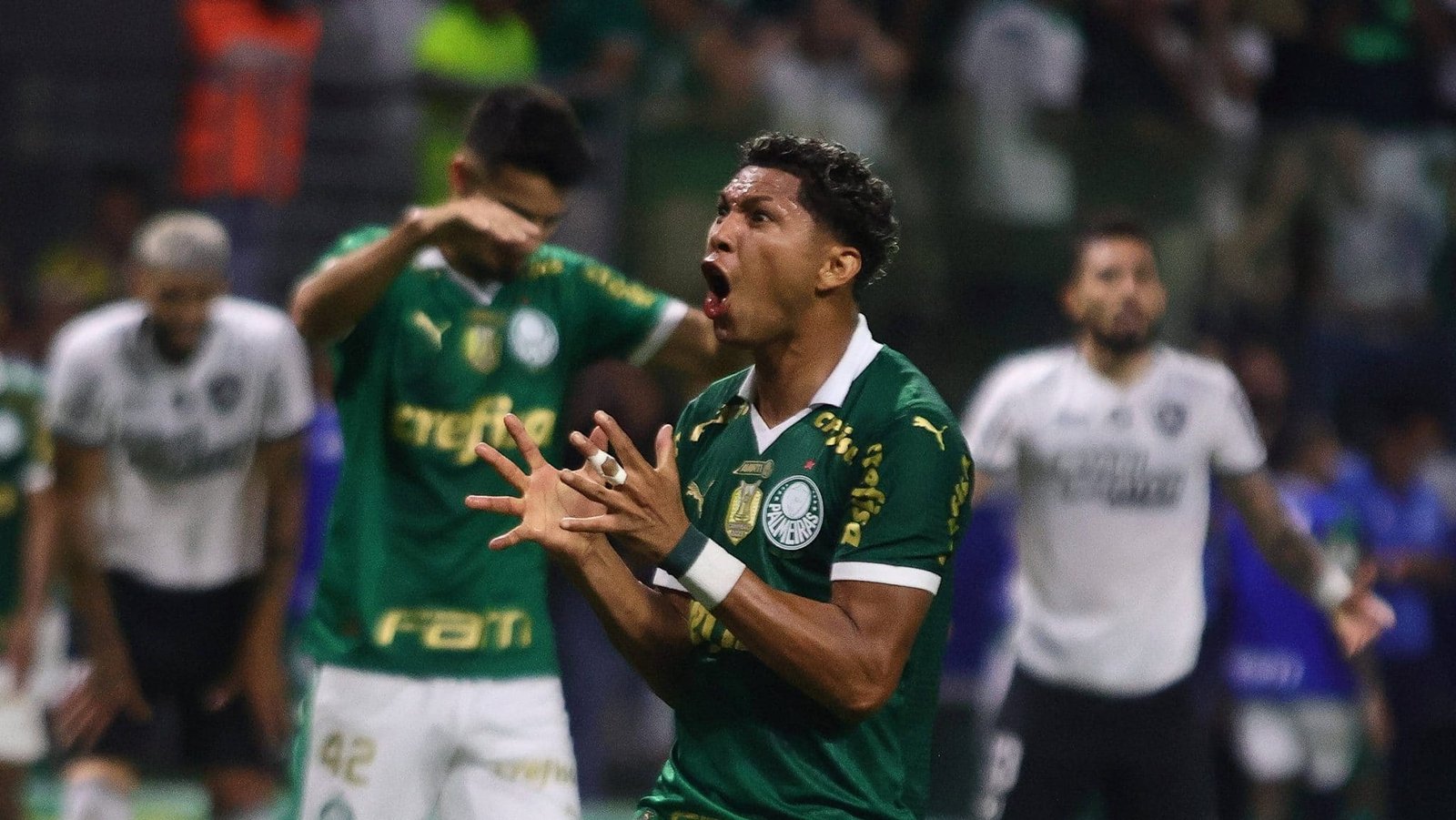 Palmeiras cai para o Botafogo e Abel é chamado de burro