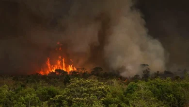 Queimadas fazem desmatamento crescer 92% na Amazônia em maio | ac24horas