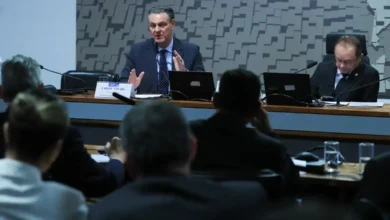 Ministro da Agricultura anuncia que foco de gripe aviária está contido | ac24horas