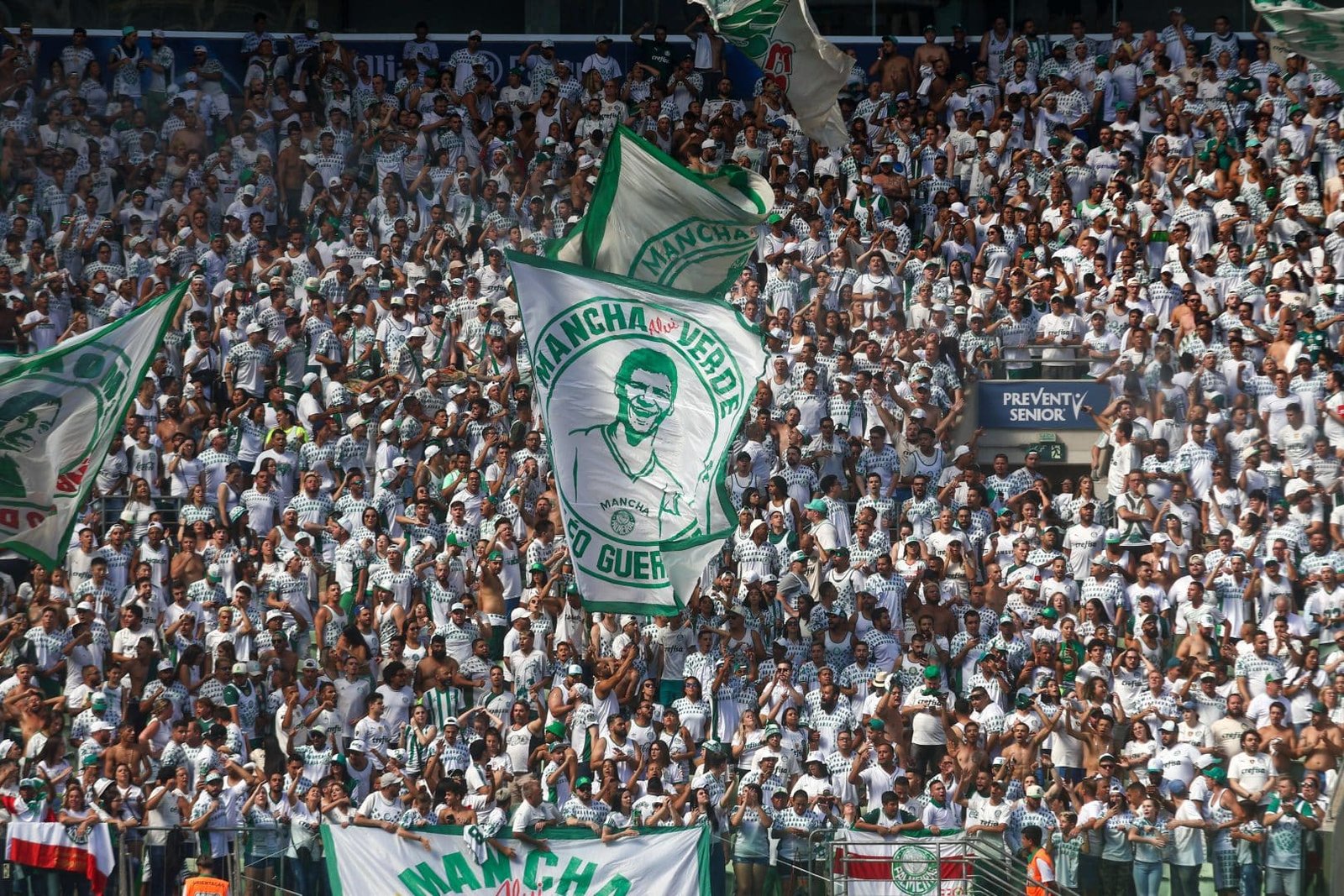Palmeiras chega a 200 mil sócios-torcedores. Mas o que isso significa?