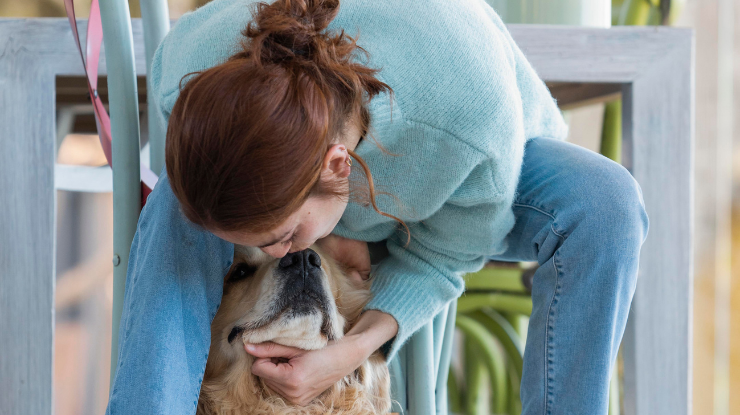 Cão de suporte emocional: o que é e como auxilia no bem-estar humano Cão de suporte emocional: o que é e como auxilia no bem-estar humano