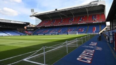 Crystal Palace x Wolverhampton: horário e onde assistir à Premier League