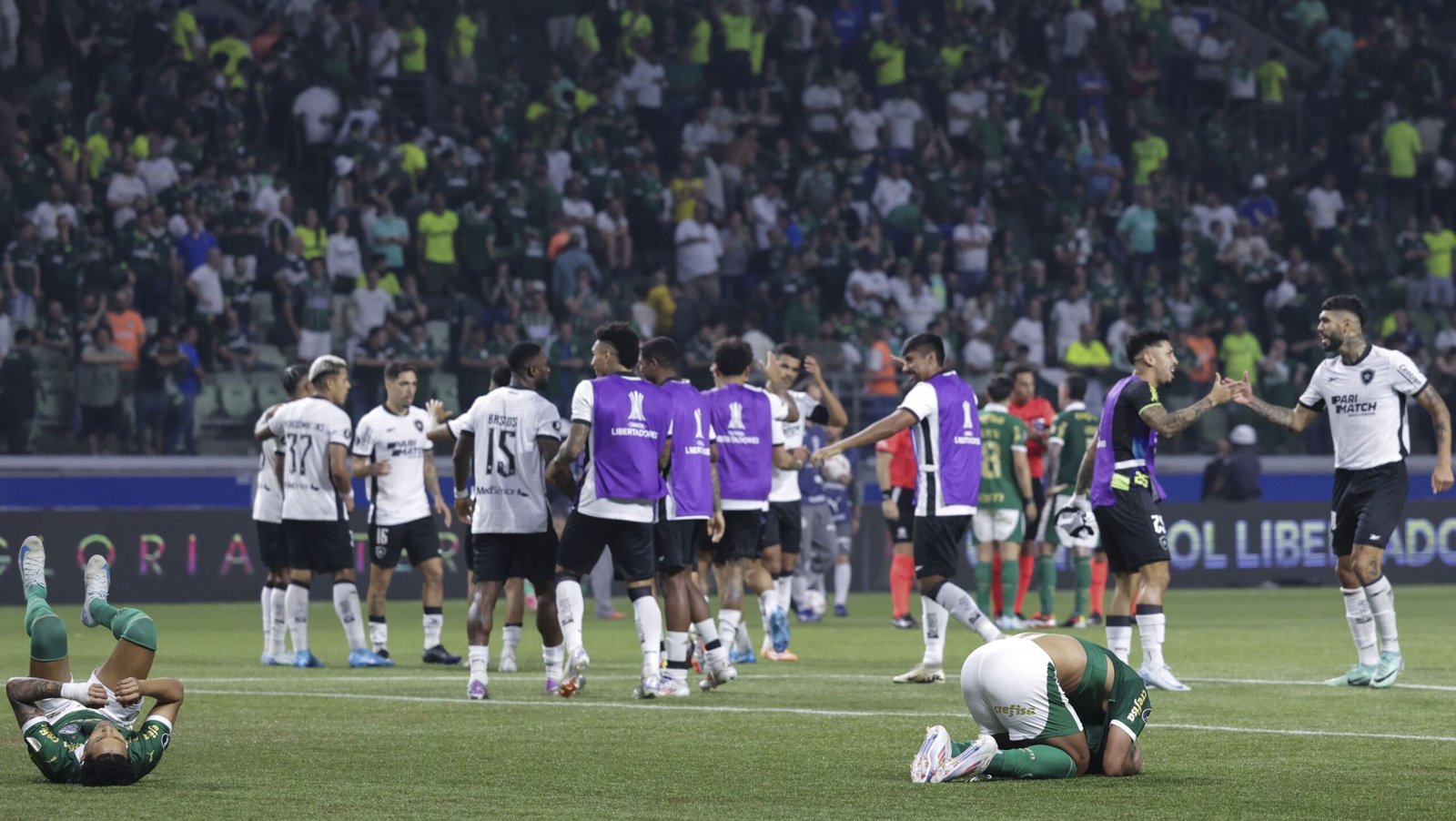Palmeiras 2 x 2 Botafogo: veja melhores momentos, notas e números do jogo Palmeiras 2 x 2 Botafogo: veja melhores momentos, notas e números do jogo