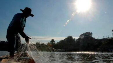 Força-tarefa tenta agilizar registros de pescadores no Acre | ac24horas