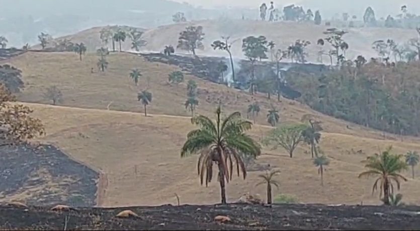 Mesmo com chuva, São Paulo ainda conta com focos de incêndios ativos Mesmo com chuva, São Paulo ainda conta com focos de incêndios ativos