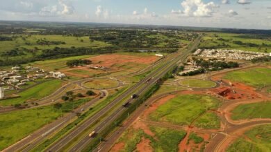 K-infra e Galapagos vencem leilão concorrido por Rota da Celulose