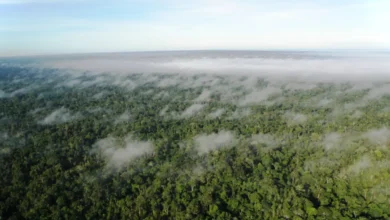Rio Branco poderá licenciar atividades ambientais próximo à área urbana | ac24horas
