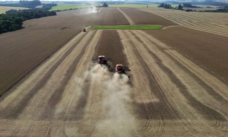 Agro dos EUA perdeu competitividade no mercado mundial, diz Marcos Jank Agro dos EUA perdeu competitividade no mercado mundial, diz Marcos Jank