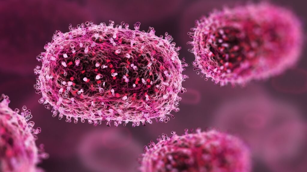 Mpox tem potencial de se espalhar para vários países, diz especialista à CNN