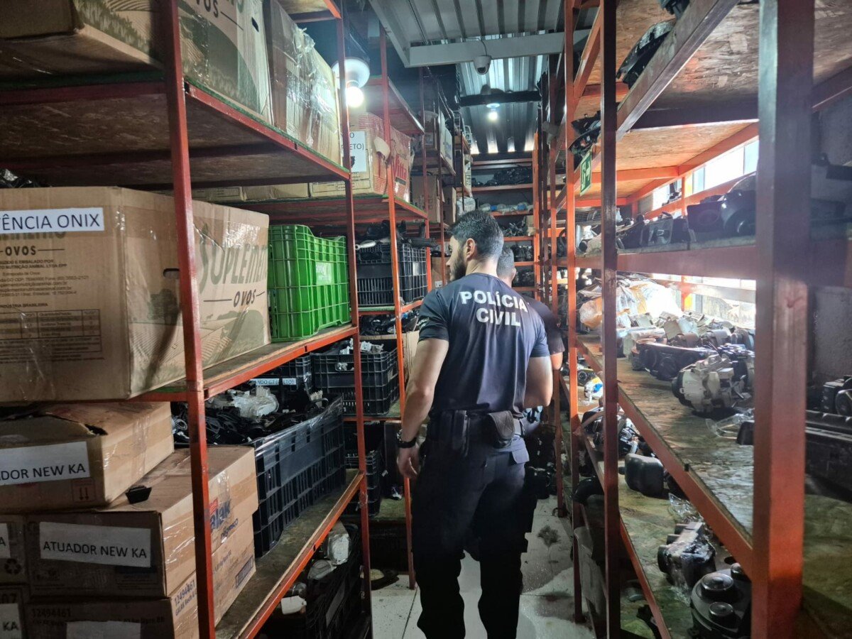Polícia cumpre mandados de busca contra comércio ilegal